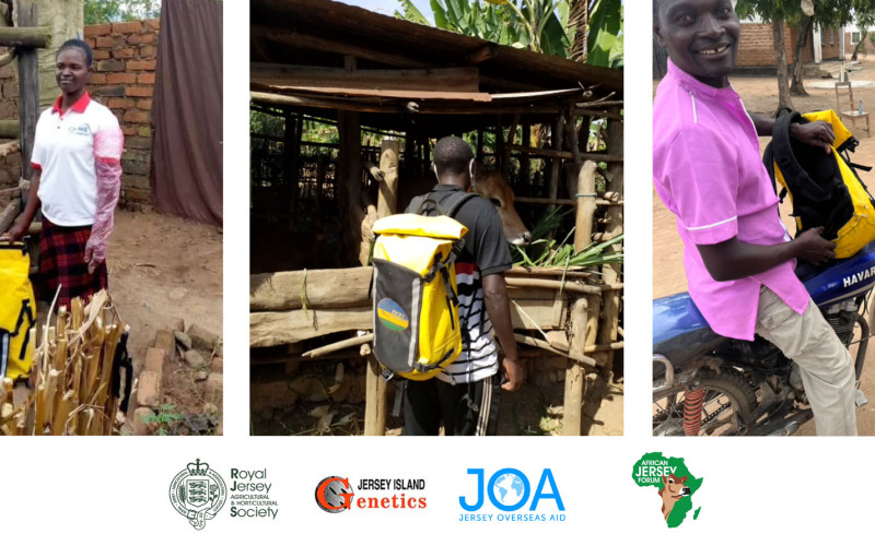 Developing African Dairy: ensuring semen quality from production to insemination