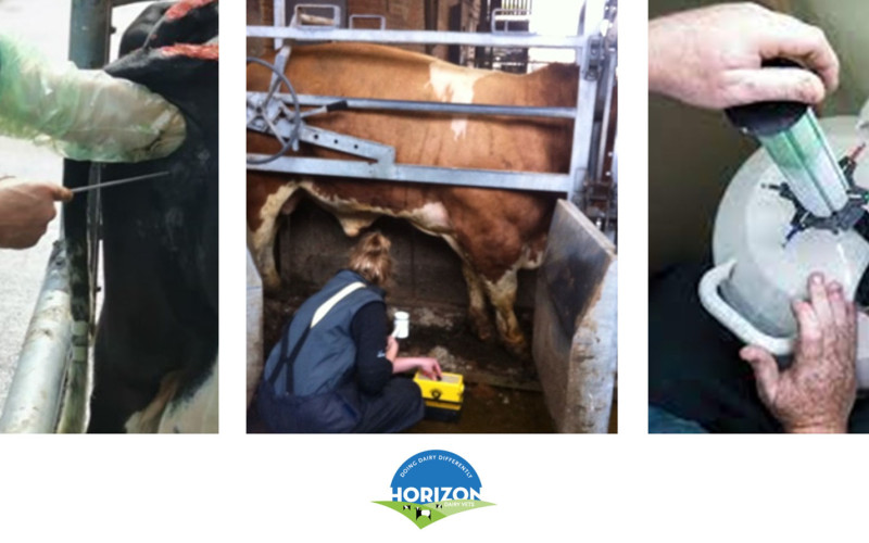 The Value of On-farm Semen Testing to Raise Dairy Conception Rates
